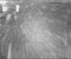 Přístaviště Hodonín