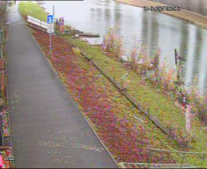 Baťův kanál - Přístaviště Hodonín - 24.12.2025 v 08:30 Baťův kanál - Přístaviště Hodonín - 24.12.2025 v 08:30