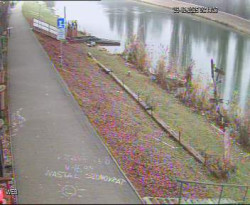 Přístaviště Hodonín