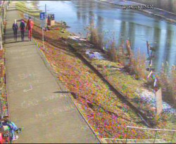 Přístaviště Hodonín