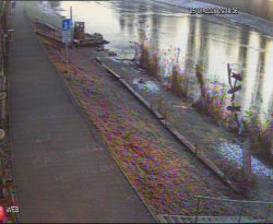 Přístaviště Hodonín