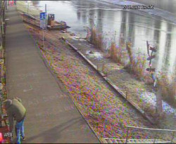 Přístaviště Hodonín