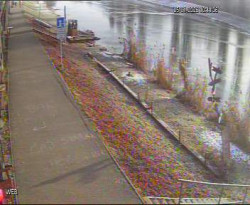 Přístaviště Hodonín