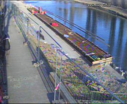 Přístaviště Hodonín