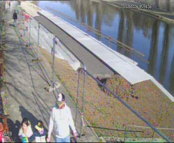 Přístaviště Hodonín