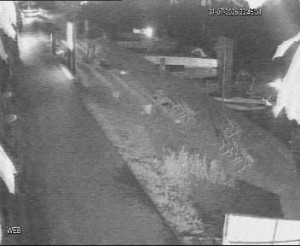 Baťa-Kanal - Hafen Hodonín - 31.7.2026 v 22:45 Baťa-Kanal - Hafen Hodonín - 31.7.2026 v 22:45