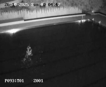 Snímek    26.10.2025 v 00:00