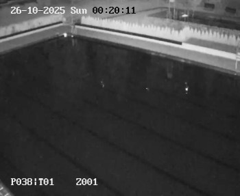 Snímek    26.10.2025 v 00:15