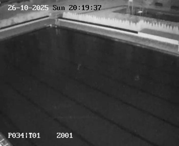 Snímek    26.10.2025 v 19:15