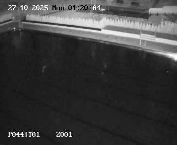 Snímek    27.10.2025 v 00:15