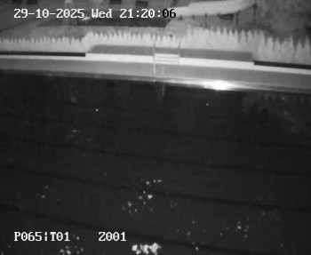 Snímek    29.10.2025 v 20:15