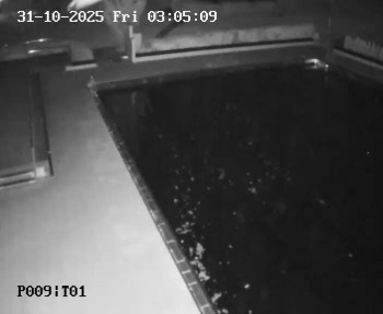 Snímek    31.10.2025 v 02:00