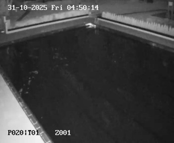 Snímek    31.10.2025 v 03:45