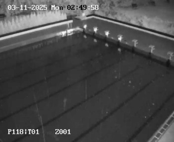 Snímek    3.11.2025 v 01:45