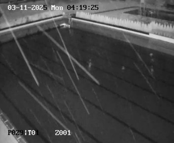 Snímek    3.11.2025 v 03:15