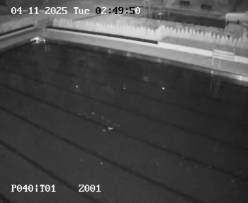 Snímek    4.11.2025 v 01:45