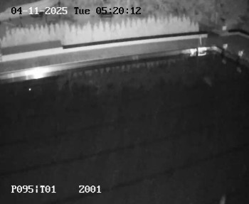 Snímek    4.11.2025 v 04:15