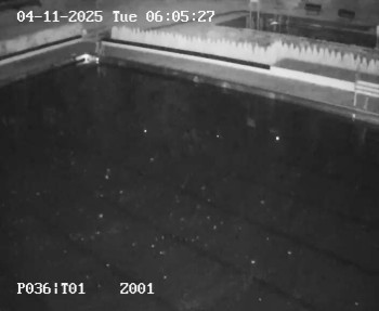 Snímek    4.11.2025 v 05:00