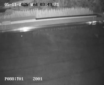 Snímek 5.11.2025 v 02:45