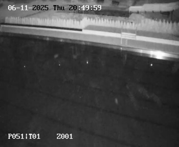 Snímek 6.11.2025 v 19:45