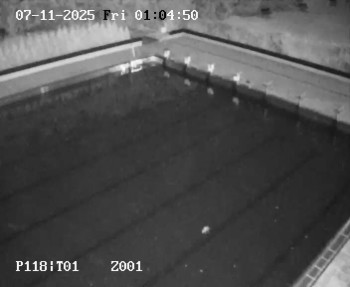 Snímek 7.11.2025 v 00:00