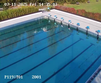 Snímek 7.11.2025 v 13:30