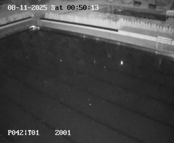 Snímek 7.11.2025 v 23:45