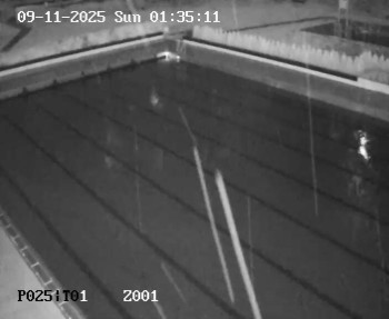 Snímek 9.11.2025 v 00:30