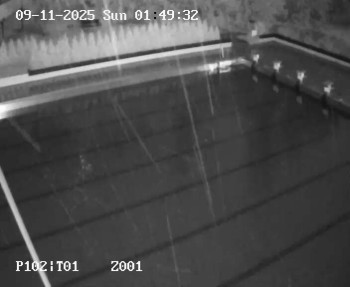 Snímek 9.11.2025 v 00:45