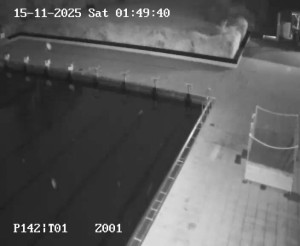 Koupaliště Petynka - Hlavní bazén - 15.11.2025 v 00:45 Koupaliště Petynka - Hlavní bazén - 15.11.2025 v 00:45