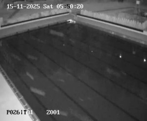 Koupaliště Petynka - Hlavní bazén - 15.11.2025 v 04:45 Koupaliště Petynka - Hlavní bazén - 15.11.2025 v 04:45