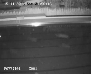 Koupaliště Petynka - Hlavní bazén - 15.11.2025 v 20:45 Koupaliště Petynka - Hlavní bazén - 15.11.2025 v 20:45