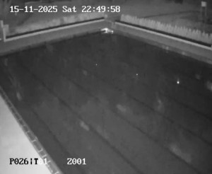 Koupaliště Petynka - Hlavní bazén - 15.11.2025 v 21:45 Koupaliště Petynka - Hlavní bazén - 15.11.2025 v 21:45