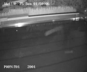 Koupaliště Petynka - Hlavní bazén - 16.11.2025 v 00:45 Koupaliště Petynka - Hlavní bazén - 16.11.2025 v 00:45