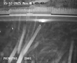 Koupaliště Petynka - Hlavní bazén - 15.12.2025 v 00:45 Koupaliště Petynka - Hlavní bazén - 15.12.2025 v 00:45