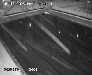 Koupaliště Petynka - Hlavní bazén - 15.12.2025 v 02:45 Koupaliště Petynka - Hlavní bazén - 15.12.2025 v 02:45