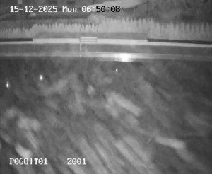 Koupaliště Petynka - Hlavní bazén - 15.12.2025 v 05:45 Koupaliště Petynka - Hlavní bazén - 15.12.2025 v 05:45