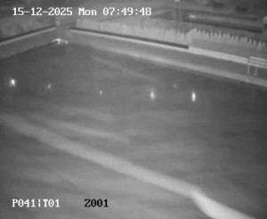 Koupaliště Petynka - Hlavní bazén - 15.12.2025 v 06:45 Koupaliště Petynka - Hlavní bazén - 15.12.2025 v 06:45