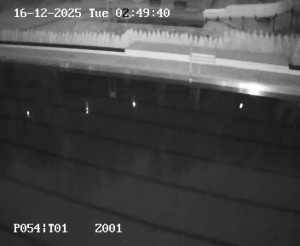 Koupaliště Petynka - Hlavní bazén - 16.12.2025 v 01:45 Koupaliště Petynka - Hlavní bazén - 16.12.2025 v 01:45