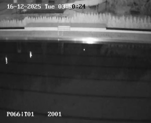 Koupaliště Petynka - Hlavní bazén - 16.12.2025 v 02:45 Koupaliště Petynka - Hlavní bazén - 16.12.2025 v 02:45