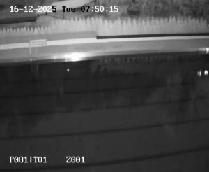 Koupaliště Petynka - Hlavní bazén - 16.12.2025 v 06:45 Koupaliště Petynka - Hlavní bazén - 16.12.2025 v 06:45