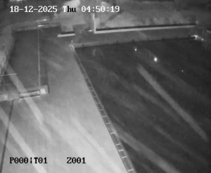 Koupaliště Petynka - Hlavní bazén - 18.12.2025 v 03:45 Koupaliště Petynka - Hlavní bazén - 18.12.2025 v 03:45