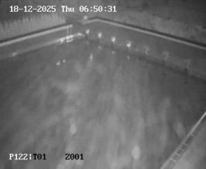 Koupaliště Petynka - Hlavní bazén - 18.12.2025 v 05:45 Koupaliště Petynka - Hlavní bazén - 18.12.2025 v 05:45