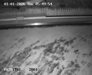 Koupaliště Petynka - Hlavní bazén - 1.1.2026 v 04:45 Koupaliště Petynka - Hlavní bazén - 1.1.2026 v 04:45