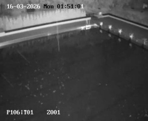 Koupaliště Petynka - Hlavní bazén - 16.3.2026 v 00:45 Koupaliště Petynka - Hlavní bazén - 16.3.2026 v 00:45