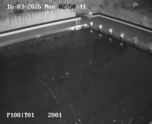 Koupaliště Petynka - Hlavní bazén - 16.3.2026 v 01:45 Koupaliště Petynka - Hlavní bazén - 16.3.2026 v 01:45