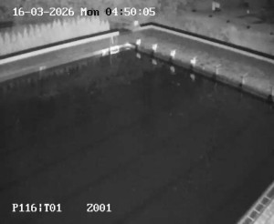 Koupaliště Petynka - Hlavní bazén - 16.3.2026 v 03:45 Koupaliště Petynka - Hlavní bazén - 16.3.2026 v 03:45