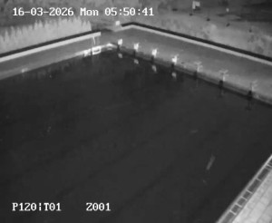 Koupaliště Petynka - Hlavní bazén - 16.3.2026 v 04:45 Koupaliště Petynka - Hlavní bazén - 16.3.2026 v 04:45