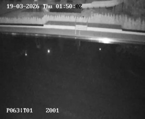 Koupaliště Petynka - Hlavní bazén - 19.3.2026 v 00:45 Koupaliště Petynka - Hlavní bazén - 19.3.2026 v 00:45