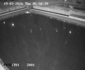 Koupaliště Petynka - Hlavní bazén - 19.3.2026 v 04:45 Koupaliště Petynka - Hlavní bazén - 19.3.2026 v 04:45